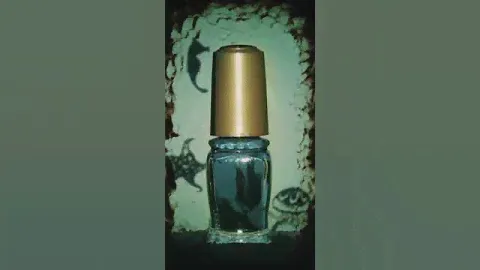 「わかめ」のおはなし| MAJOLICA MAJORCA