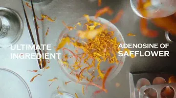 SHISEIDO LIFE SCIENCE MEETS 03  | SHISEIDO