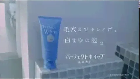 SHISEIDO Facial Cleansing Foam Speedy Perfect Whip