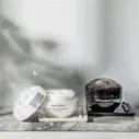 SHISEIDO Крем для комплексной защиты кожи E Future Solution LX